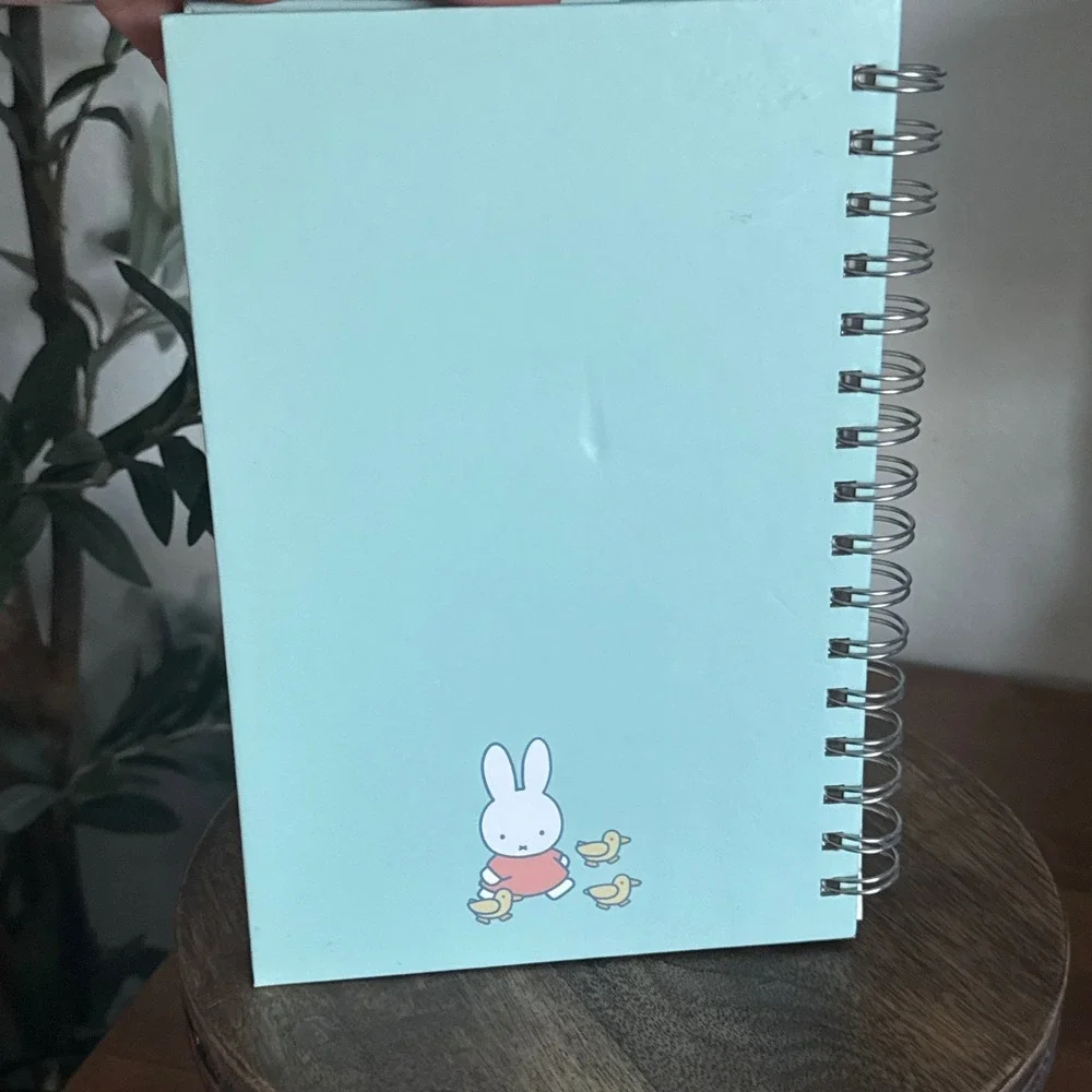 miffy ducks spiral